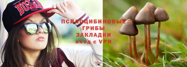винт Алзамай