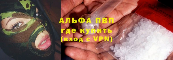 винт Алзамай