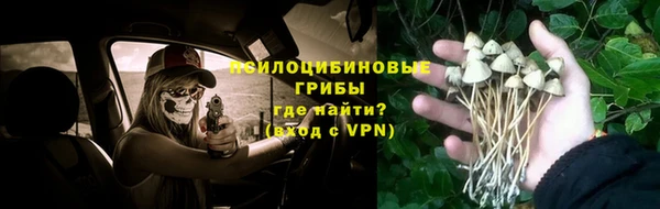 винт Алзамай