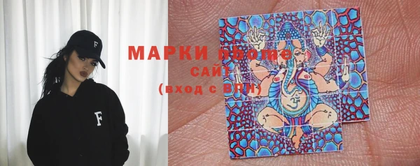 винт Алзамай