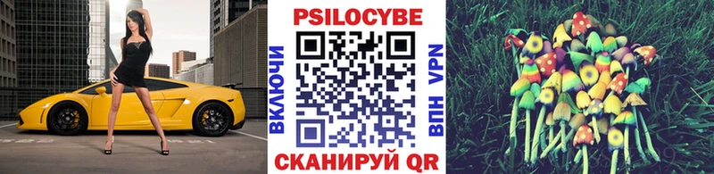 где найти наркотики  Киреевск  Псилоцибиновые грибы прущие грибы 